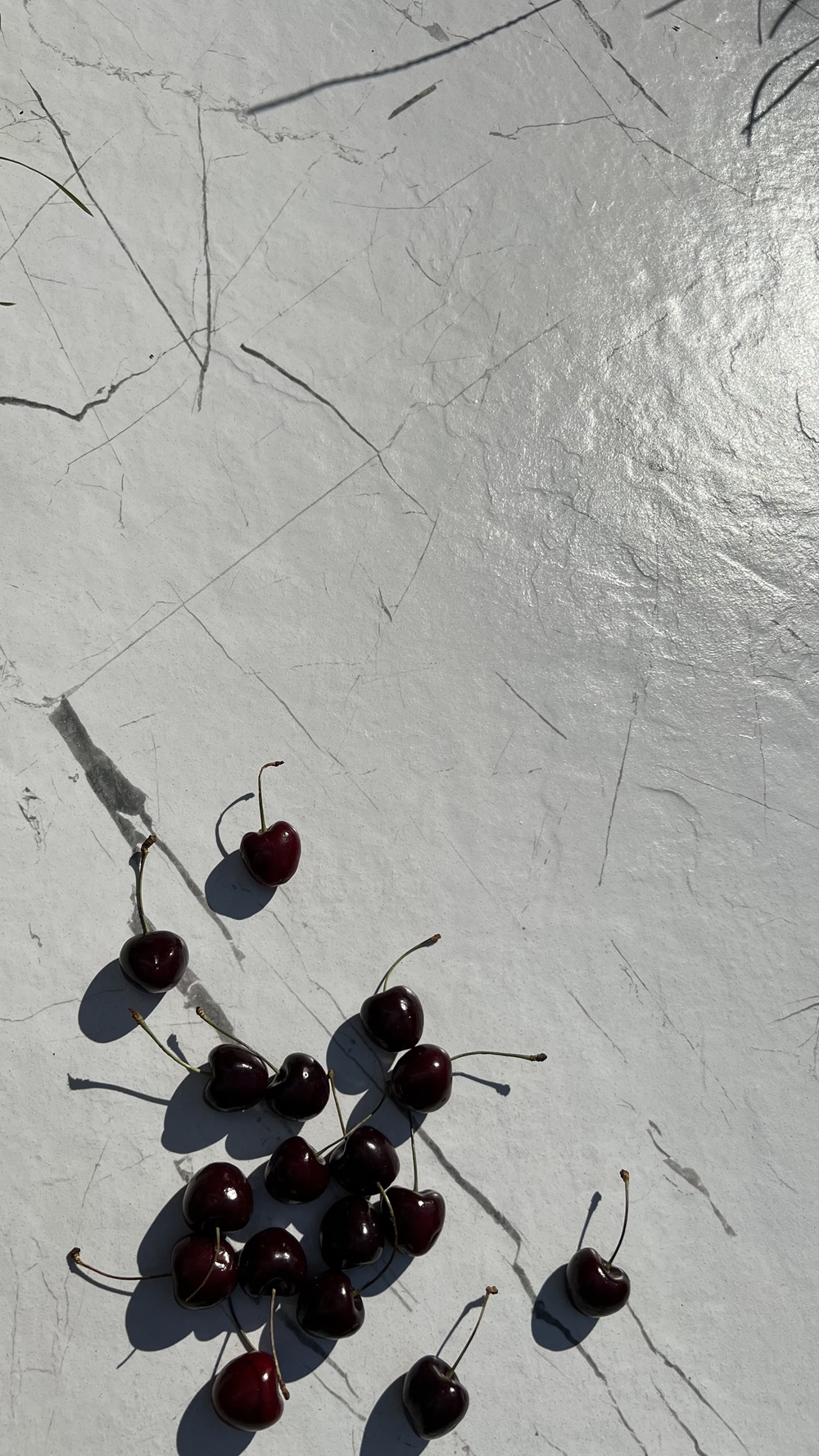 Керамогранит Cerrad Marmo Thassos White Rect 59,7х119,7