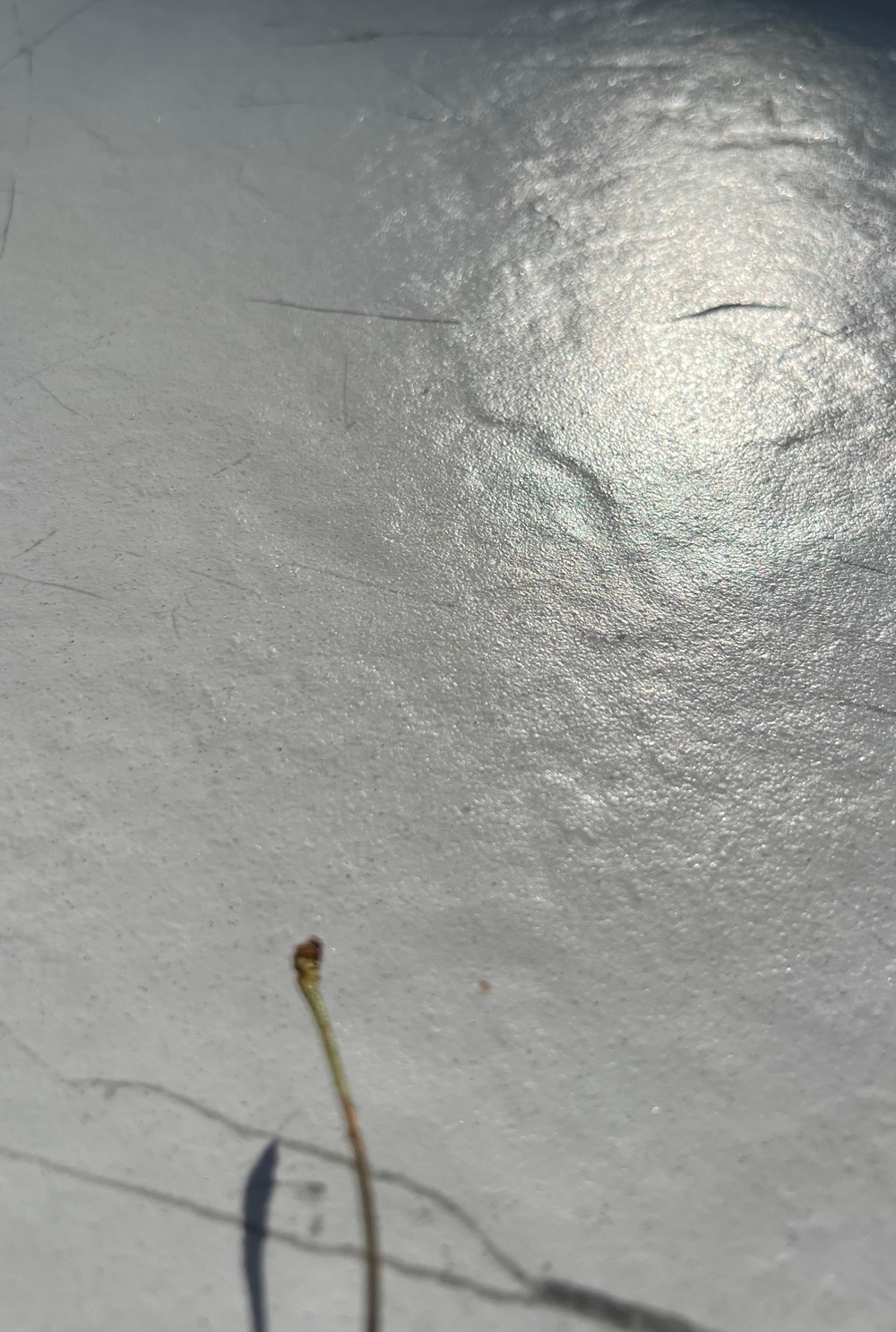 Керамогранит Cerrad Marmo Thassos White Rect 59,7х119,7