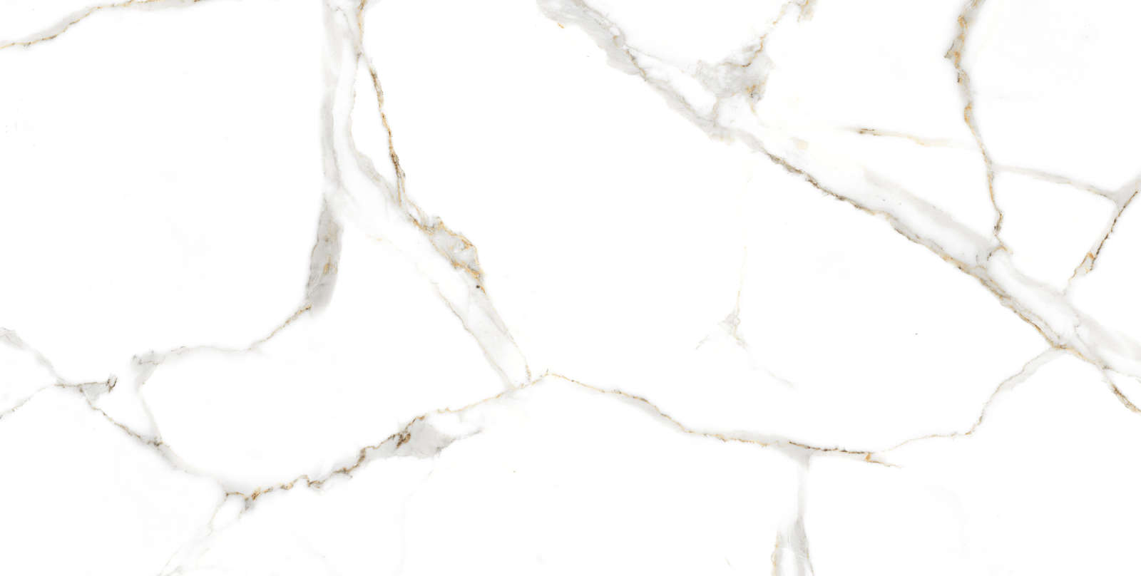 Satvario Gold Сатварио Голд 120x60