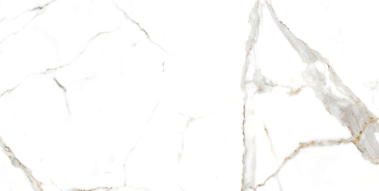 Satvario Gold Сатварио Голд 120x60