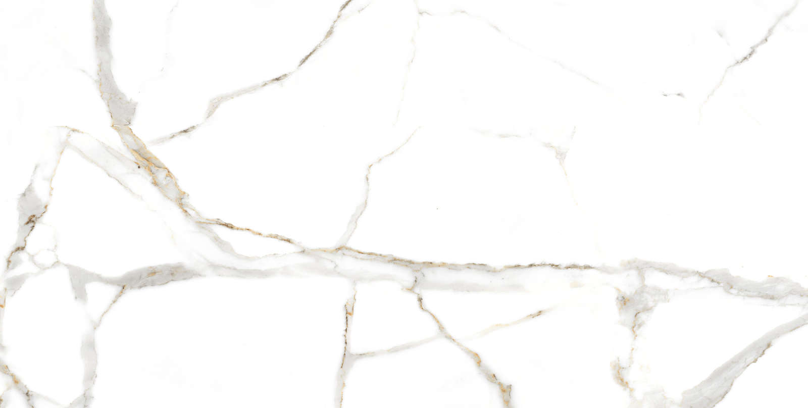 Satvario Gold Сатварио Голд 120x60