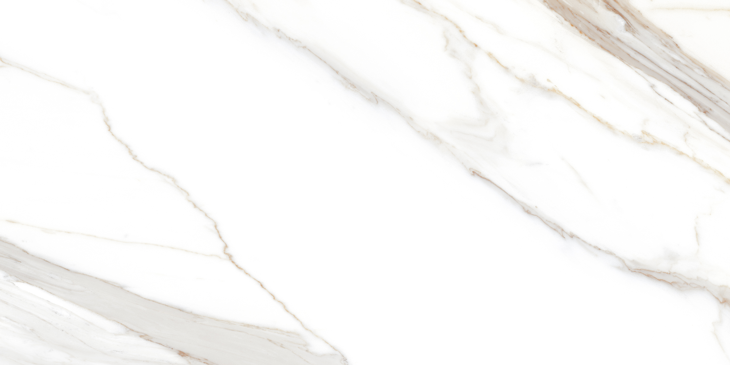 Statuario Cromite Lush 120x60