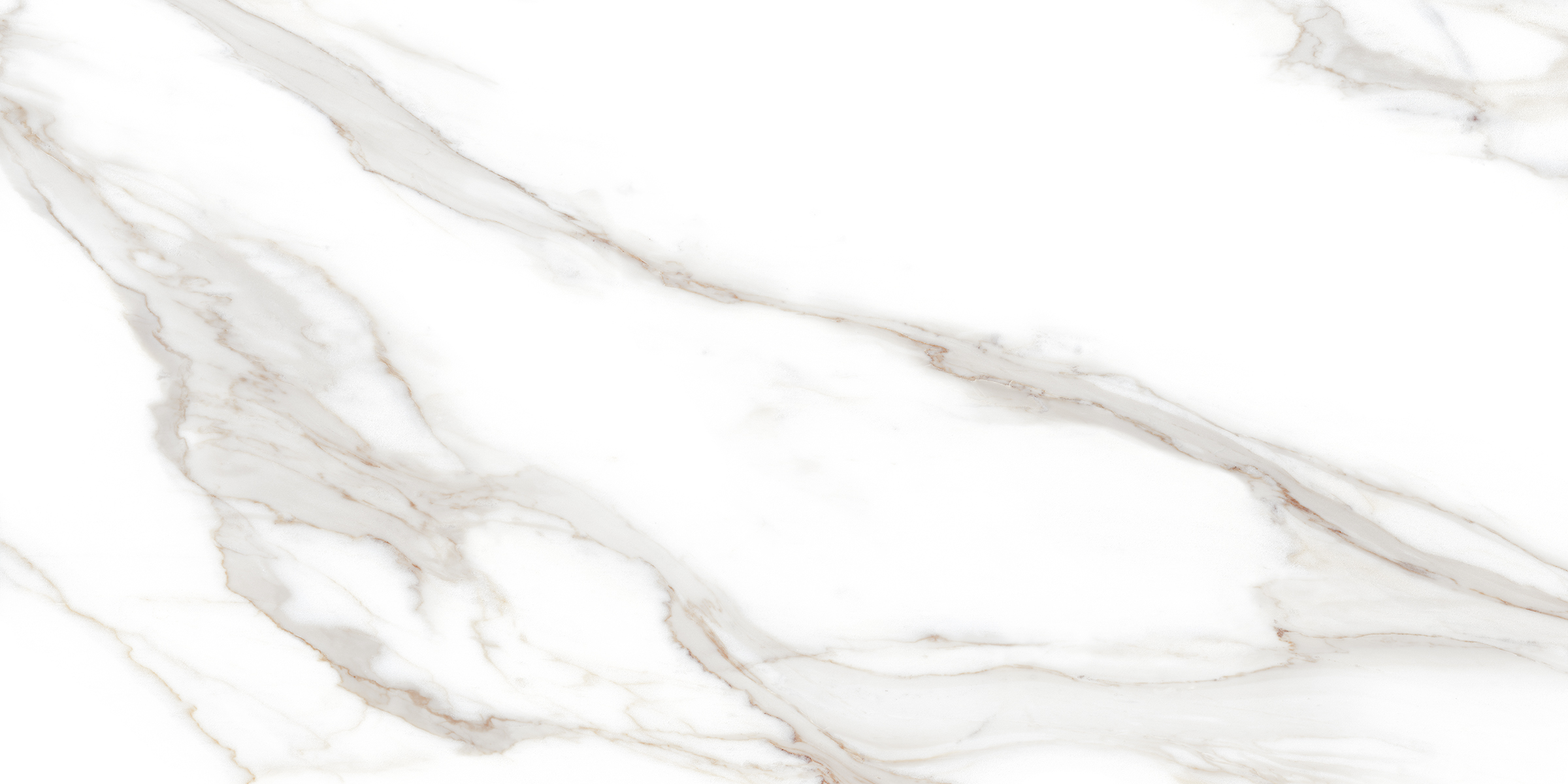 Statuario Cromite Lush 120x60