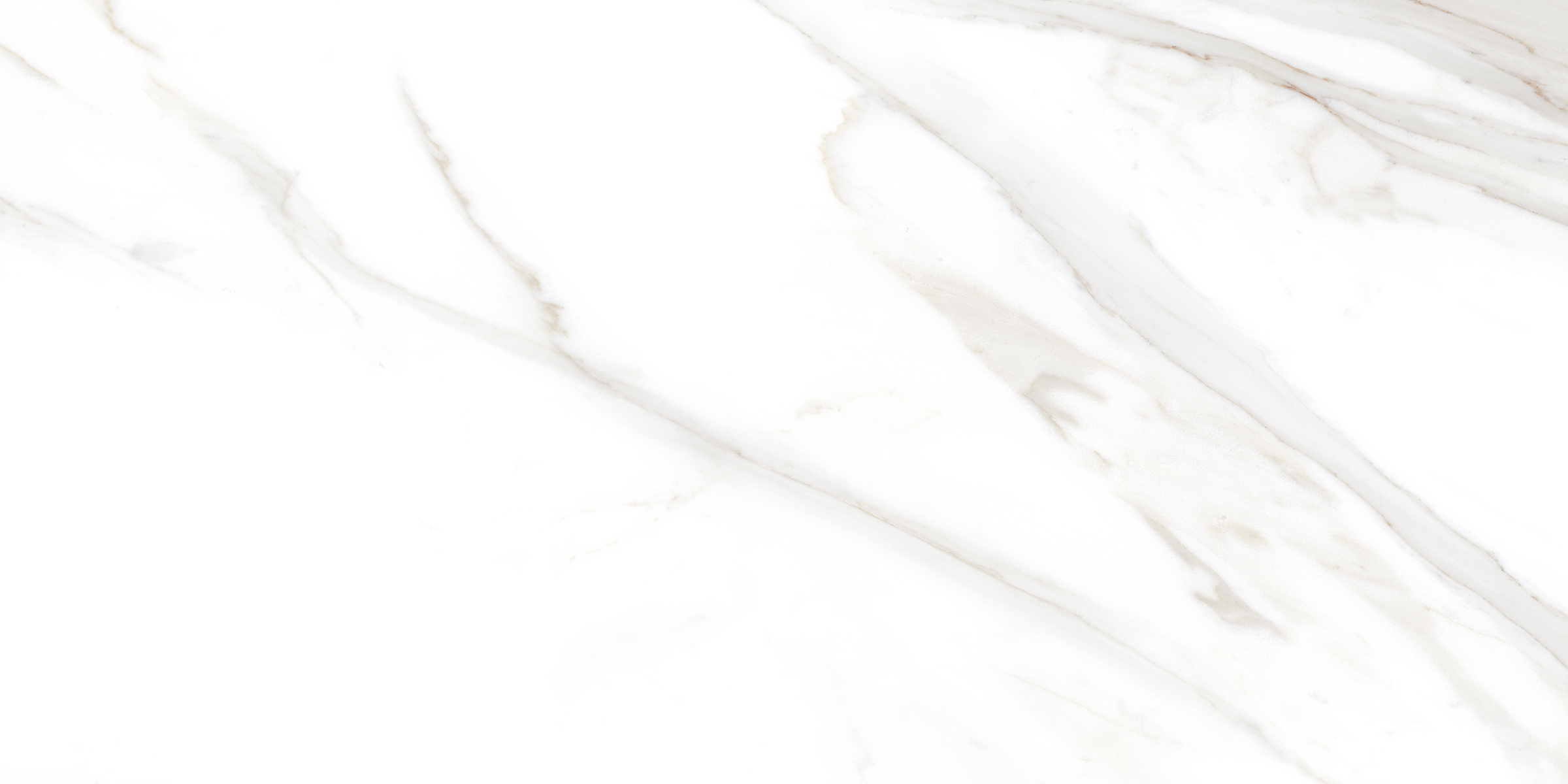 Statuario Cromite Lush 120x60