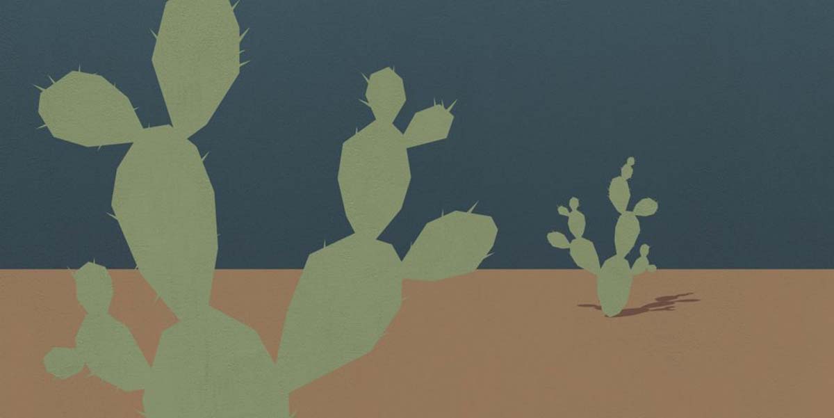 Керамогранит W&S D+  CP4 ARIZONA B 120X240